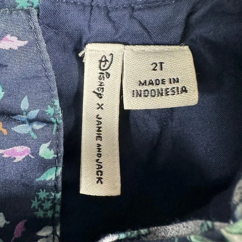 Disney x Janie and Jack Frozen Dress Girls 2T Navy Blue Floral Ruffle Tiered
